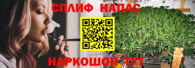 молекула духа Заводоуковск