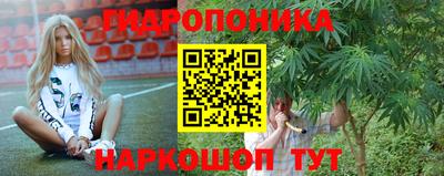 молекула духа Заводоуковск