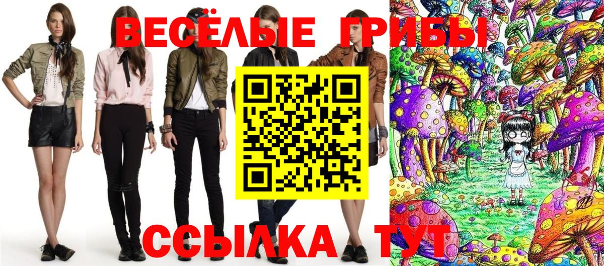 Назарово  Галлюциногенные грибы Psilocybine cubensis  Вход с VPN  Псилоцибиновые грибы GOLDEN TEACHER 